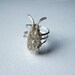 Unique Handformed wire ring Bug