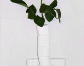 Romantic Marshmellow Rose for Dad or Lover (RARE)