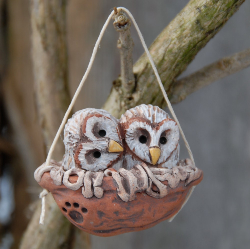 Baby barn owls walnut nest