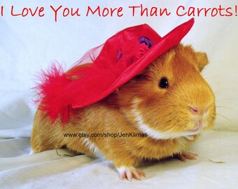 Happiness is a Guinea Pig Royalty 5 pc Magnet Set The Queen Princess and more