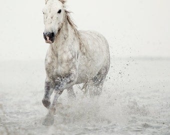 Nature Photography, Minimalist Horse Art, White Horse in Water, Horse Photography, Large Wall Art, Fine Art Photography - Wild at Heart