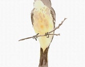 Soft spring sunshine: Phoebe Print from My Original Watercolor Painting, Yellow Bird Print Art Wall Decor, Eastern Phoebe Bird Home Decor Art Print