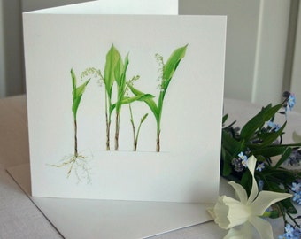 Lily of the valley card-botanical flower illustration-card for spring-card for wedding-birthday card-pretty floral greetings card-blank card