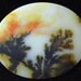 Dendritic Natural Agate Designer Cabochon (403-B)