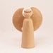Collector's Angel in Sycamore