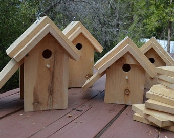 Birdhouse Handmade Paint Ready Gard en Raw Birdhouses, Cedar Wood 