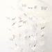 Butterfly mobile white - 3D effect - chandelier - crib mobile - valentine's day