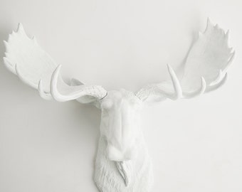 Faux Taxidermy Moose Head - The Edmonton - White Resin Moose Head by White Faux Taxidermy - Chic Fake Animal Head Hanging Wall Decor
