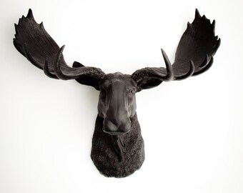 Faux Moose Head in Black - The Leonard - Black Resin Moose Head- Black Wall Sculptures & Decor - Chic Wall Hangings by White Faux Taxidermy