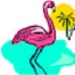 flamingofever