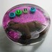 Hippo Burp: Shower Art