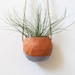 SALE - Terracotta hanging ceramic pinch pot planter with ice blue glaze - perfect for air plant, succulent or cactus