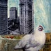 Urban Chicken A weekend in New York original painting