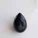 Black lucite necklace with real insect