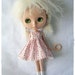 Rose Stripes Dress for Blythe