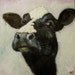 Cow painting 509 18x18 inch original animal oil painting by Roz