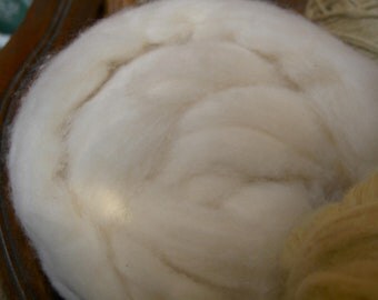 Organic Colorgrown Cotton Natural white Sliver 1 oz
