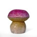 Fine Art Royal Butter Bolete Boletus regius Basidiomycota Mushroom Wooden Box by Tanja Sova