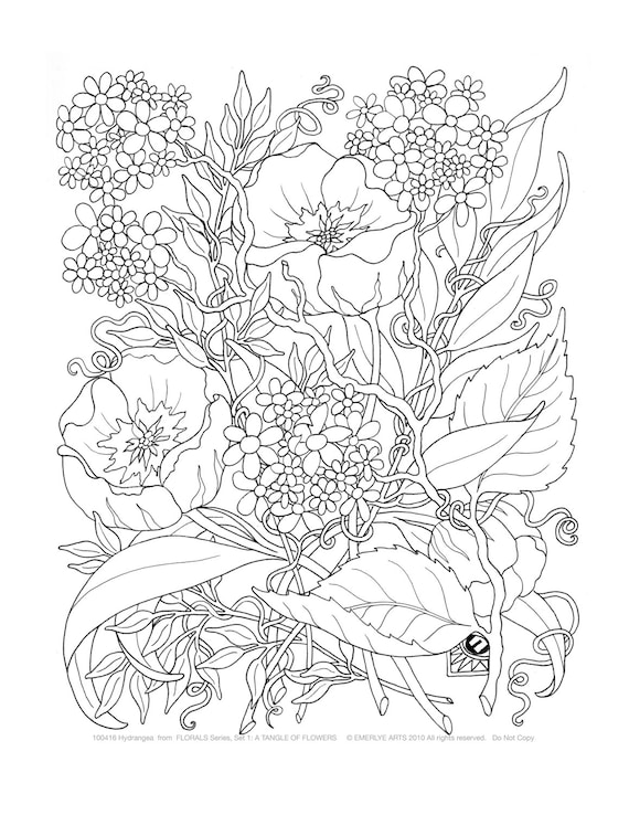 Adult Coloring A Tangle of Flowers Set of 8 by emerlyearts