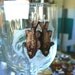 Hooked on Rock Cod earrings