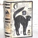 SMALL Vintage Paper Mache Halloween Witch's Book of CHARMS Box hand Painted (CAT)