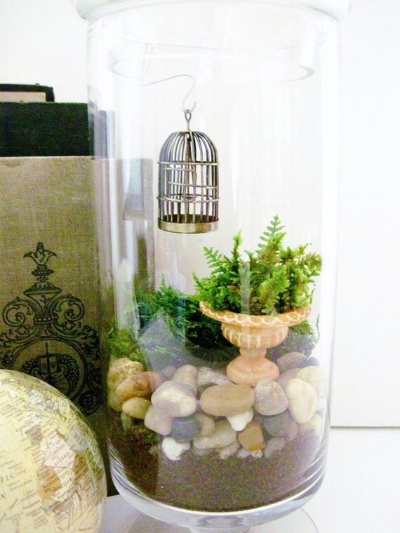 Plant Terrarium with Bird Cage Miniature Garden by DoodleBirdie