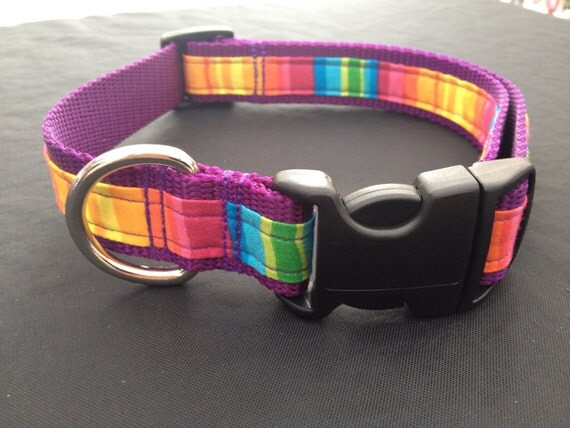 Rainbow Dog Collar custom fit dog collar design the perfect