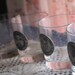 Celtic Irish Pub Glass, Whiskey or Scotch Glassware, with Pewter symbols of Ireland