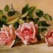 PRINT FREE SHIP Pastel Pink Victorian Cabbage Roses Patty Thum Half Yard Long
