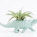 Dinosasur Planter with Air Plant Room Decor, College Dorm Ornament, Plants and Edibles, Mint Repurposed Toy