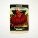 Seed Packet Vintage 1920s Unused Paper Seed Packet Onion