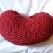 kidney plush pillow