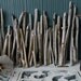 Collection of Driftwood Sticks for Crafting and Home Decor an organic Supply great for Beach Wedding Decor S39