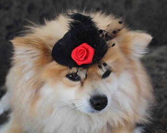 Cute black color mini hat with feather and flowers for dog or cat