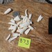 American Alligator Teeth- assorted - Real Teeth- Lot No. B73