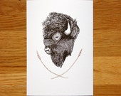 SALE: Bison - giclée print
