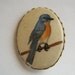 Vintage Brooch Bluebird of Happiness Hand Painted