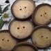 Wood Buttons - 6 Ohio Wooden Tree Branch Buttons with Bark - 2 1/2 x 2 inches, 2 holes, For Journals, Pillows, Totebags, Knitting