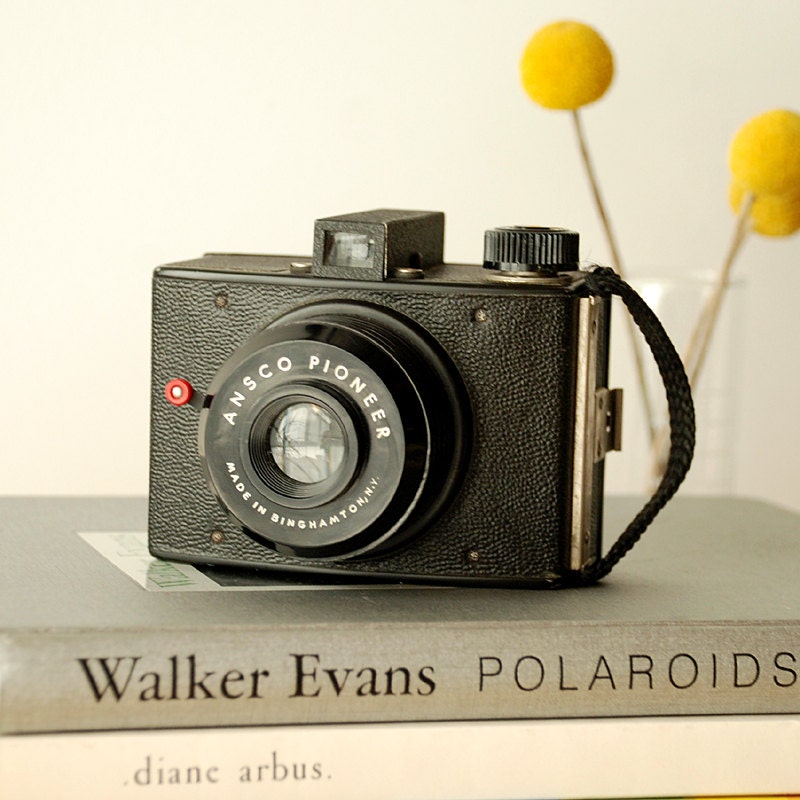 pioneer camera