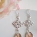 Silver Framed Cascading Feather - Champagne Czech Glass Earrings