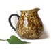 Water Pitcher - Golden Earth Tones