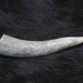 x1 Deer Antler Tip - Grade A, Real Bone, Antler, Taxidermy, A77900041
