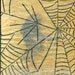 Creepy Girl Veiled in Spiderweb Antique Photo Spooky Halloween Decor