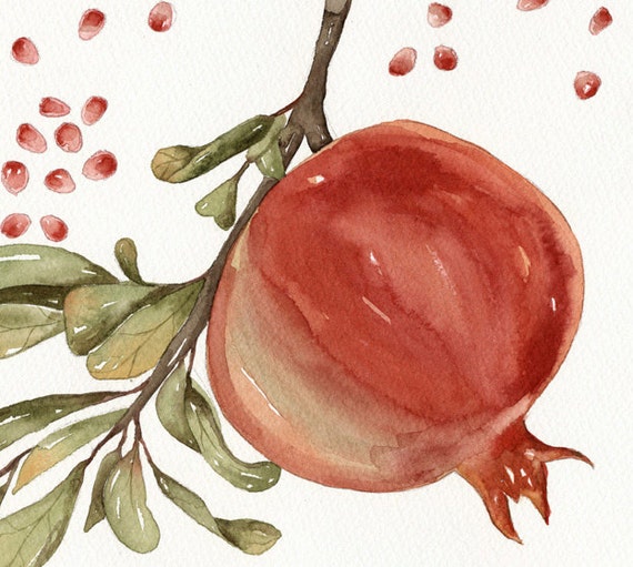 Pomegranate Watercolor Art Original Painting by Lorisworld