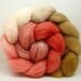 DELICATE Gradient Handpainted BFL Top Spinning Fiber 4 oz