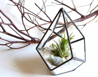 Small Geometric Terrarium Pod, Air Plant Glass Terrarium, Glass Planter