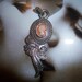 DM Lind Shell Carved Cameo Pendant (signed)