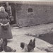 Old Lady and Chickens Vintage Photograph (G)