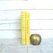 Yellow Instant Library Collection Vintage Decorative Books by Color Bundle Photography Props Get Organized School Books