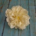 Silk Flowers - One Large Cream Peony - 5 Inches - Artificial Flowers